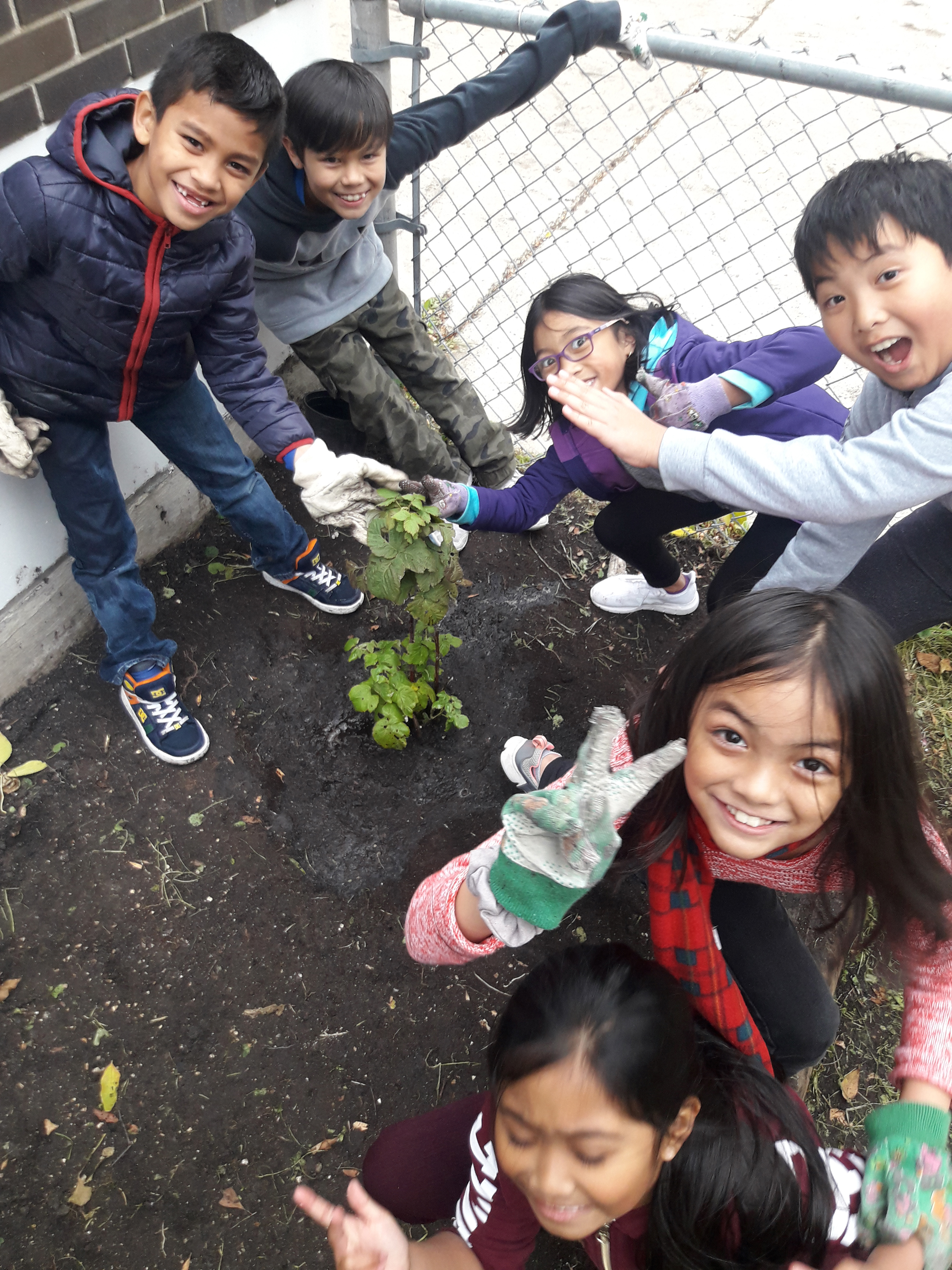adjusted Wellington Tree Project 004.jpg